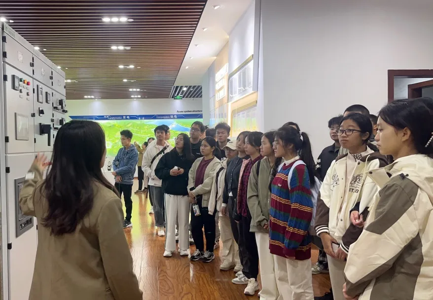 1733131021187031.png image.png