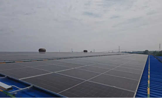 1749177225571952.png image.png